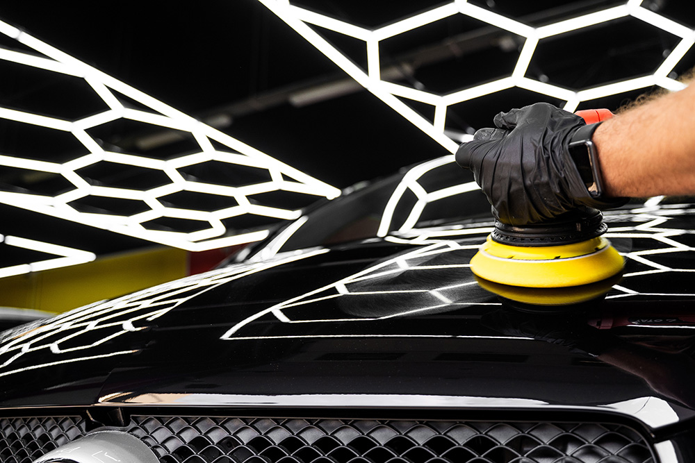 Luxury & Everyday Vehicles